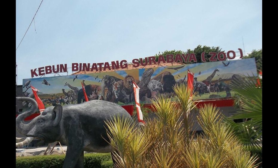 Kebun-Binatang-Surabaya