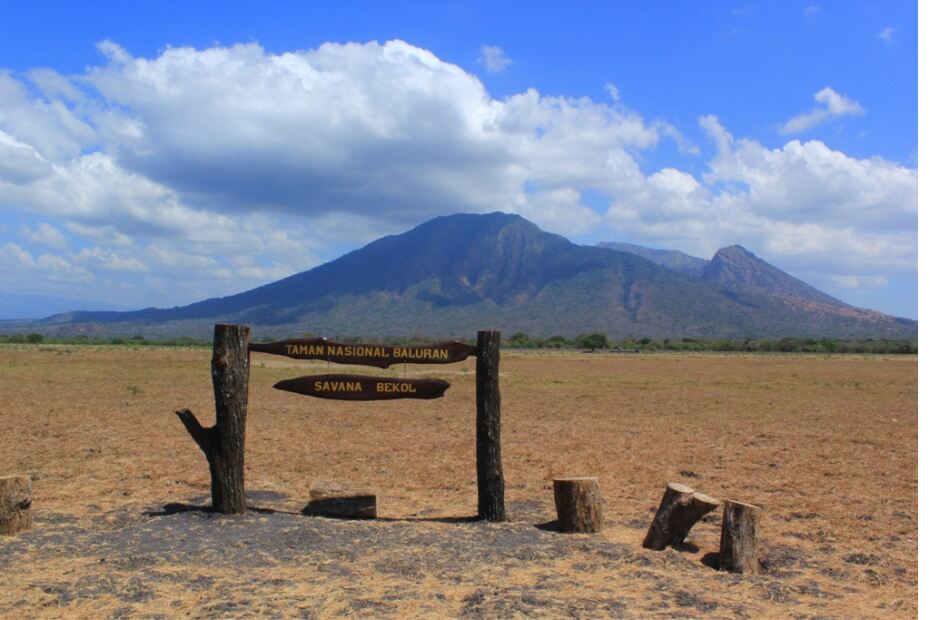 Taman Nasional Baluran