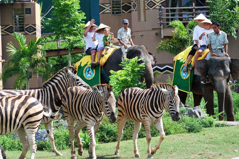 taman-safari-bali