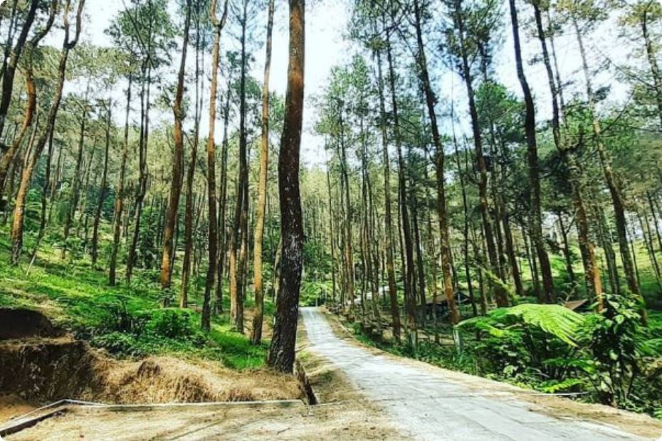Taman Hutan Rakyat Ngargoyoso