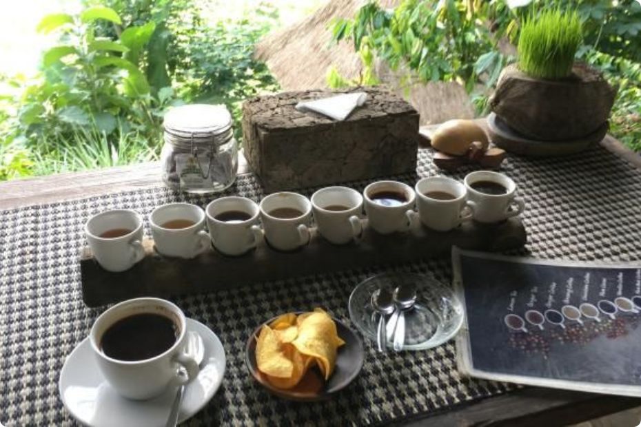 kopi luwak-ubud, bali