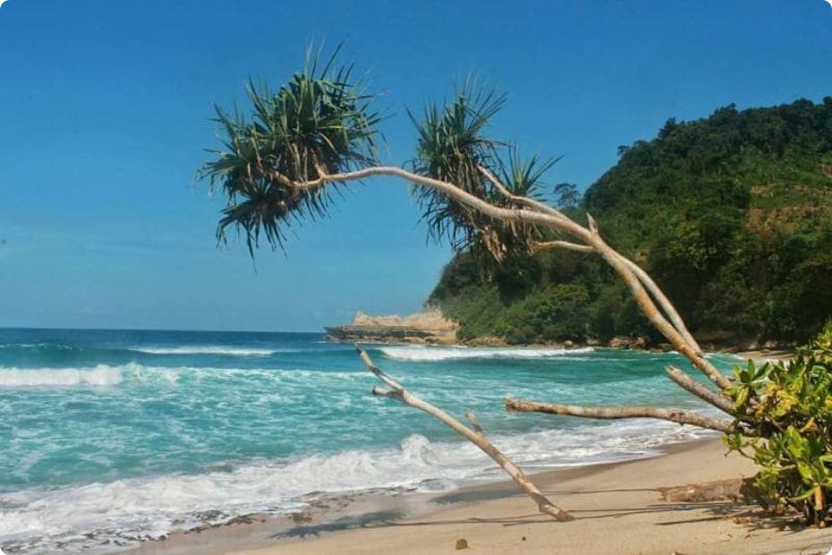 pantai-sanggar-tulungagung
